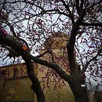Luoghi Antichi Bed & Breakfast 3*