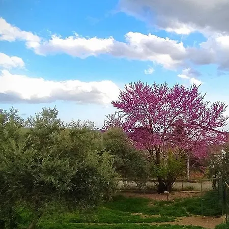 Oda ve Kahvaltı Luoghi Antichi
