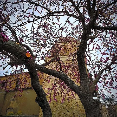 Oda ve Kahvaltı Luoghi Antichi Castrovillari