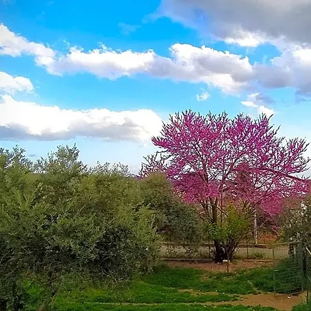 Luoghi Antichi Castrovillari