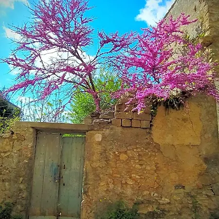 Oda ve Kahvaltı Luoghi Antichi