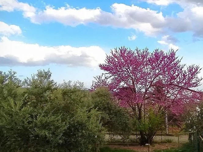 Bed & Breakfast Luoghi Antichi