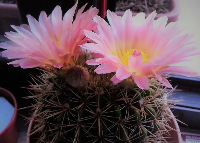 Luoghi Antichi Bed and breakfast